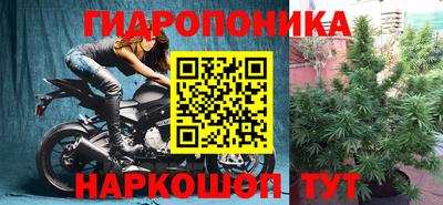 PSILOCYBIN Донской