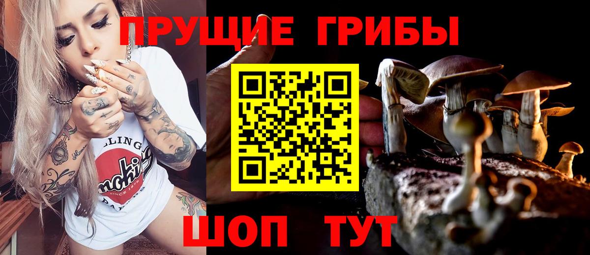 Галлюциногенные грибы Psilocybine cubensis Чехов