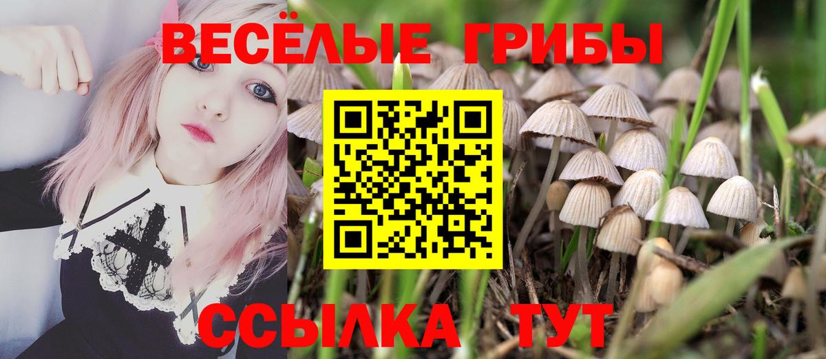 цена   Галлюциногенные грибы мухоморы  Вход с VPN  Чехов 