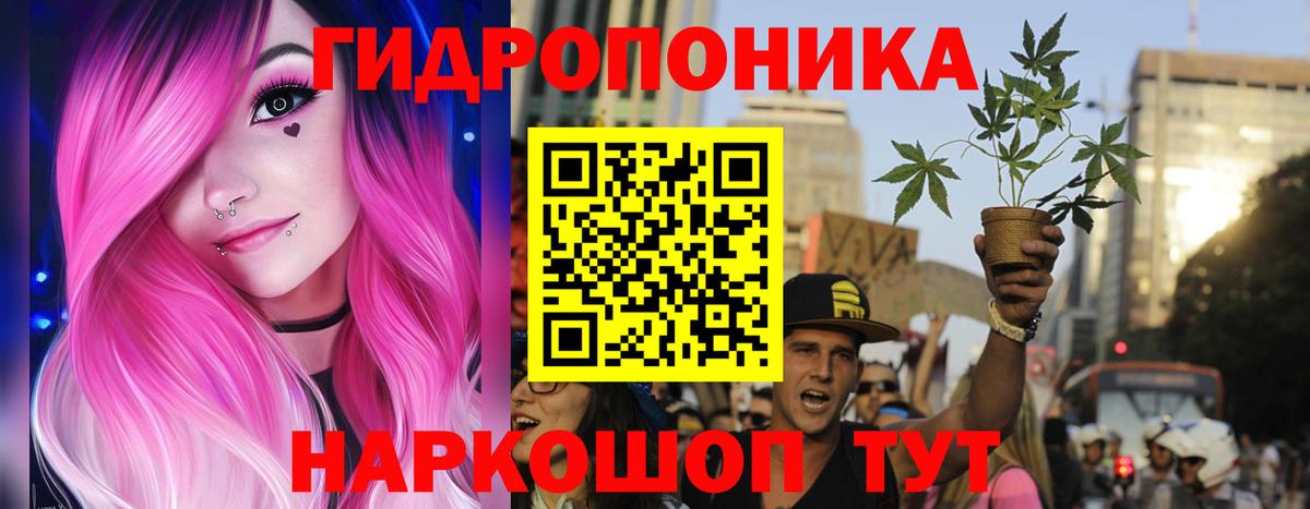 Канабис конопля Чехов